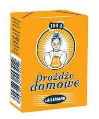 Picture of DROZDZE DOMOWE 100G LALLEMAND