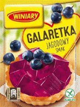 Picture of GALARETKA JAGODOWA 50G WINIARY